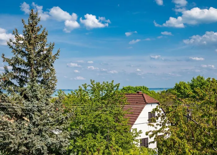 Villa Madarasz 5 Deluxe Vendeghaz *